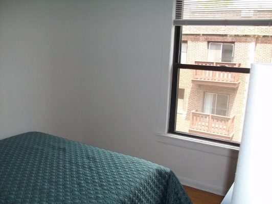 Bedroom Window.jpg